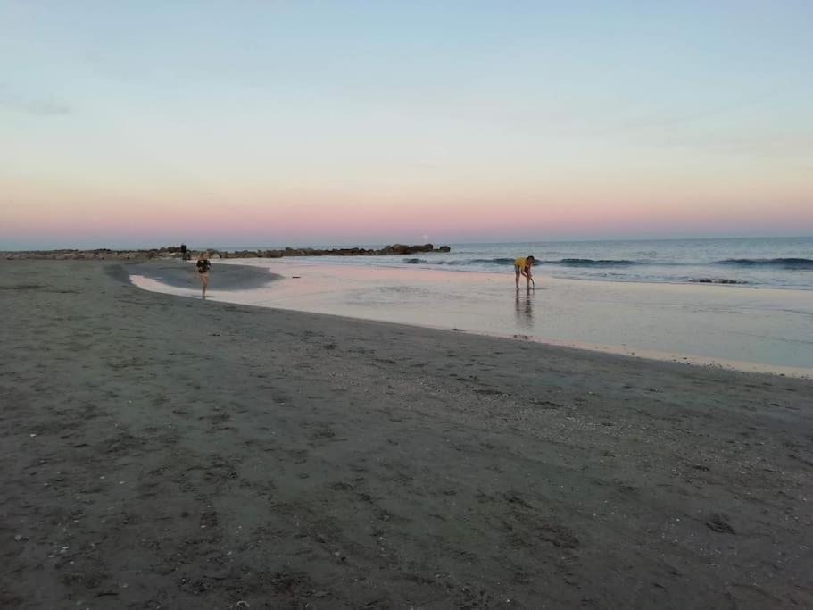 Appart 5P Terrasse Sud Vue Mer, Acces Direct Plage Frontignan Exterior photo